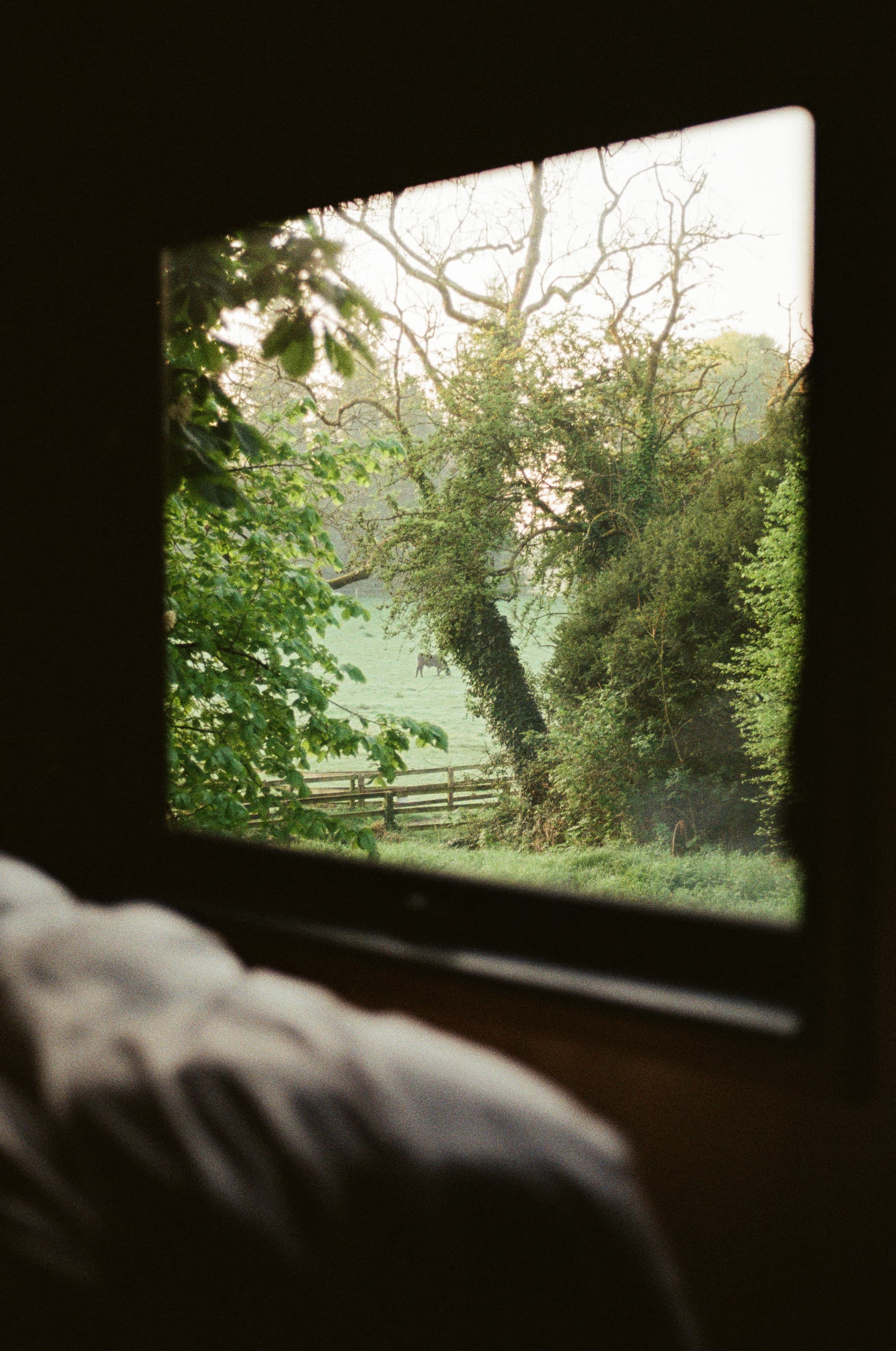 Gift memories, not things