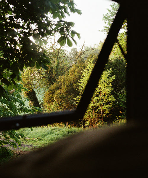 A scenic photograph of a lush green forest viewed through a dark, silhouetted window or frame, with sunlight filtering through the trees.
